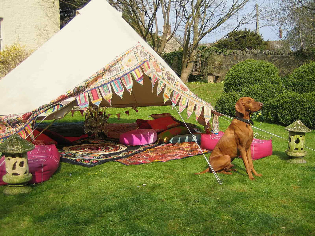 Dog and furnished 5m standard bell tent with walls rolled up