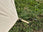 Thumbnail of Festival Tipi Bell Tent (4.5m) image number 5.