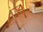 Thumbnail of Clothes Rail for Glamping image number 3.