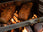 Thumbnail of Grill Unit for Orland Camp Stove image number 7.