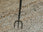 Thumbnail of Cast Iron Toasting Fork image number 2.
