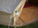 Thumbnail of 4 metre Deluxe Bell Tent image number 8.