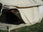 Thumbnail of 4 metre Ultimate Bell Tent image number 6.