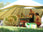 Thumbnail of 4 metre Standard Bell Tent image number 5.