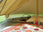 Thumbnail of 5 metre Bell Tent Inner Tent image number 6.