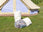 Thumbnail of Recycled Cotton Chindi Carpet for 5m Bell Tent image number 4.