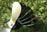 Thumbnail of Ecofan UltrAir 810 image number 3.