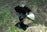Thumbnail of Ecofan UltrAir 810 image number 4.