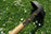 Thumbnail of Shropshire Made Spun Iron 10” Campfire Pan image number 3.