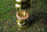 Thumbnail of Petromax Paraffin Lamp HK500 image number 10.