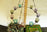 Thumbnail of Tea Light Chandelier - Multi Coloured Glass image number 8.